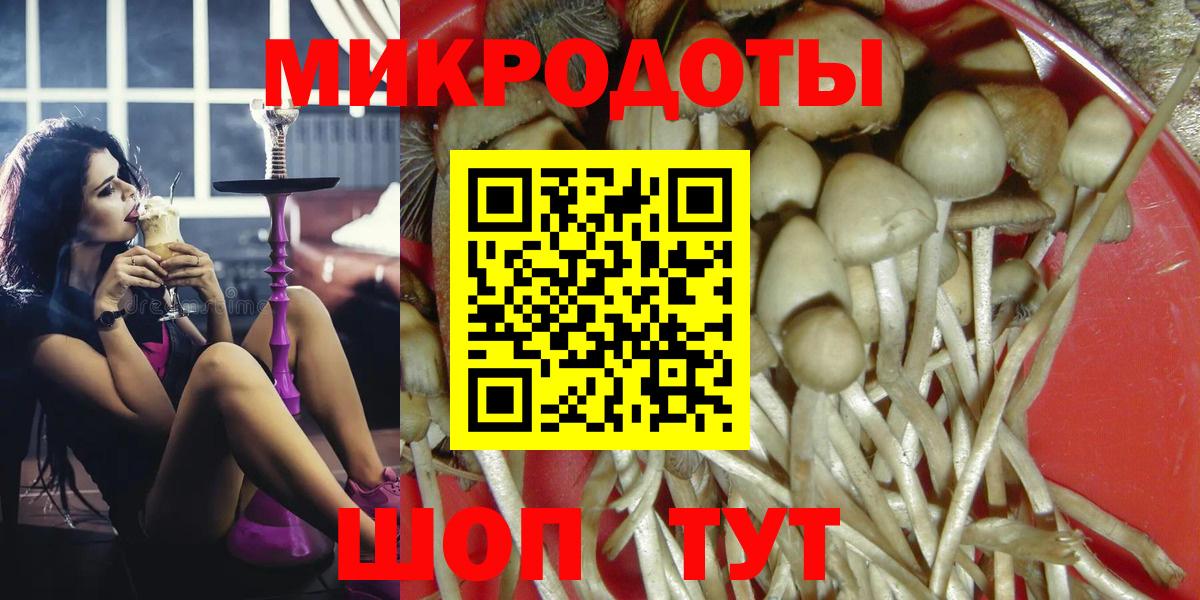 где купить   Галлюциногенные грибы Cubensis  Вход с VPN  Коммунар 