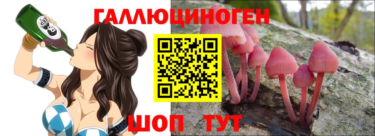 APVP Коммунар
