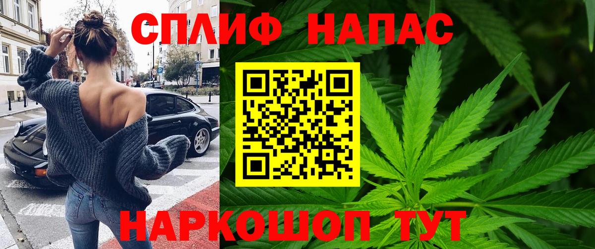 Каннабис индика Коммунар